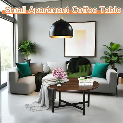 FAMIDGE Coffee Table, 23.6" Round Coffee Table, Walnut Living Room Tables - Image 4