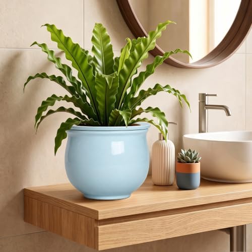 8 Inch African Violet Pots, Ceramic Self Watering Pots, Light Blue - Image 6