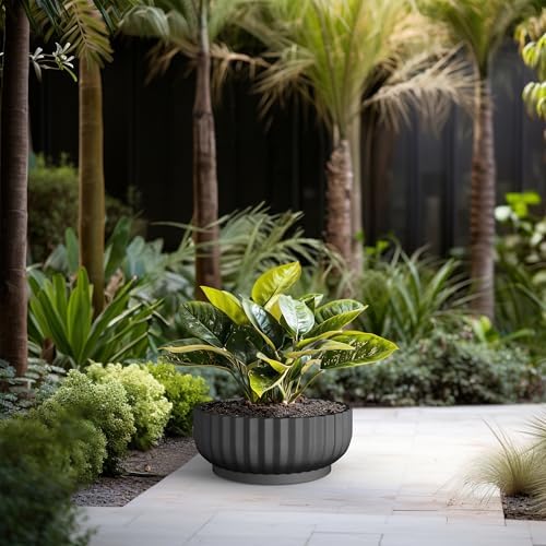 Kante Large Round Shallow Black Concrete Planter 20.9" Dia, Outdoor - Image 3
