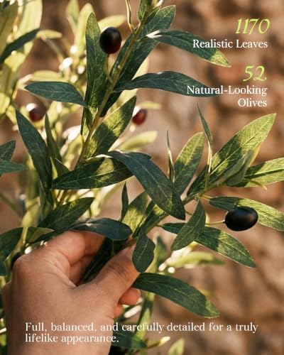 KOL 6ft Artificial Olive Tree Indoor, Tall Faux Olive Trees, Fake Olive Tree Floor Plant for Home Office Living Room Decor with Matte Black Pot - Image 5
