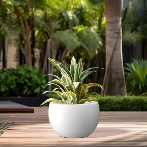 Kante Small Round Bowl White Concrete Planter 11.8" Dia, Outdoor - Image 4