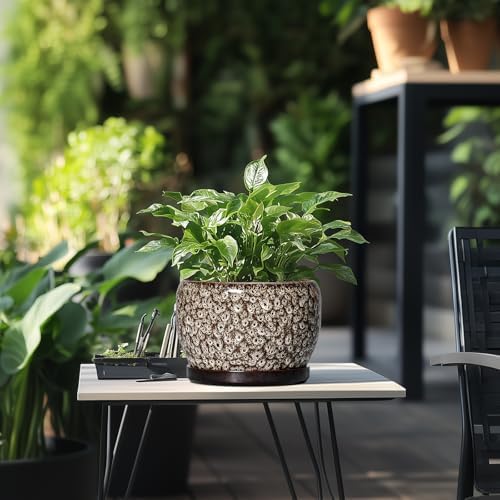 SQOWL Ceramic Planter - 8 inch Plant Pot Indoor with Drainage Hole and Plant Saucer, Round Ceramic Flower Pots Outdoor, Decorative Modern Planter, Office Kitchen Decor, Gifts for Women Men, White - Image 5
