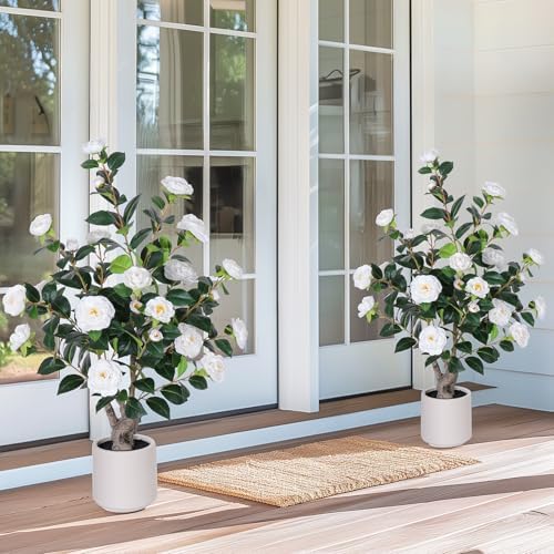 Yepdin 2 pcs Pack Artificial Camellia Tree with White Planter - 39 inch Tall Fake Tree,3.2 Ft Artificial Plants Indoor & Outdoor Housewarming Gift - Image 3