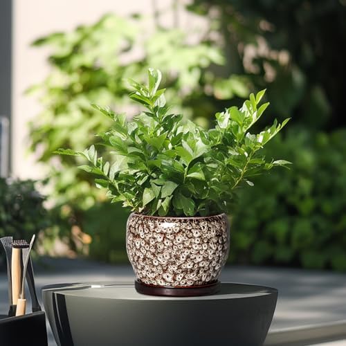 SQOWL Ceramic Plant Pots - 6 Inch Ceramic Planter for Indoor Outdoor, Small Flower Pots with Drainage Hole and Saucer, Decorative Round Planter, Home Office Decor, Plant Lover Gifts, White - Image 4