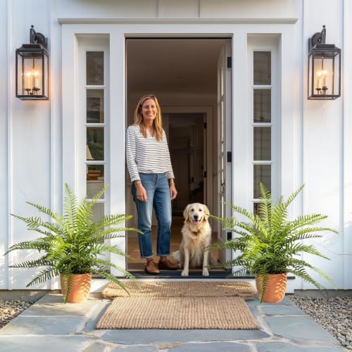 2 Pack Artificial Fern Plants in Pots, Type 8 - Image 4