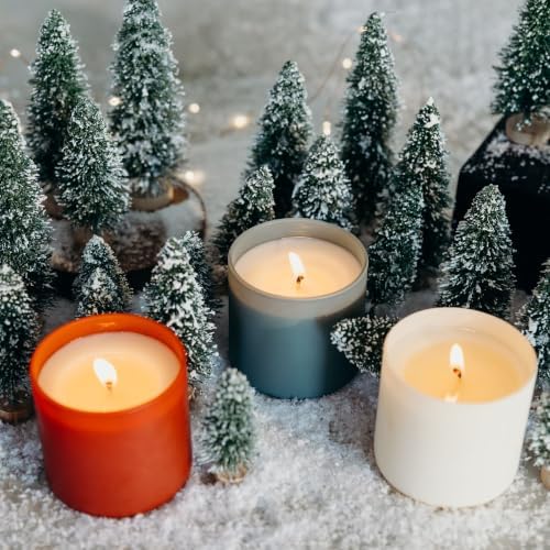 Calyan Wax Co. Dignity Series Apples & Maple Bourbon Scented Candle - Image 7