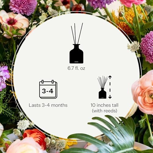 Apotheke Scented Reed Diffuser for Home, Sea Salt Grapefruit, 10 Sticks - Image 3