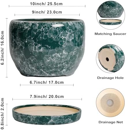 SQOWL 10 Inch Plant Pot - Ceramic Planter for Indoor Plants Outdoor, Large Ceramic Flower Pot with Drainage Hole and Saucer, Decorative Round Planter, Living Room Decor, Gifts for Women Men, Green - Image 3