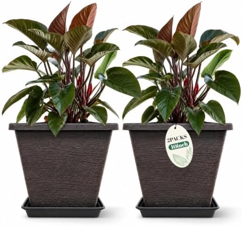 Usocik 10 Inch Square Planter Pots with Saucers, Coffee Brown, 2 Pack by Usocik