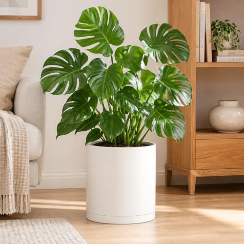 Giraffe Creation 14 Inch Cylinder Plant Pot, Modern Round Planter with Drainage Holes and Saucer, Durable Plastic Flower Pot for Indoor Outdoor Plants, White - Image 6