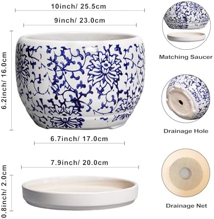 SQOWL Ceramic Pots for Plants - 10 Inch Ceramic Flower Pots with Drainage Hole and Saucer, Round Large Planter Indoor, Decorative Porcelain Planter Outdoor, Home Decor, Birthday Gifts, Blue and White - Image 3