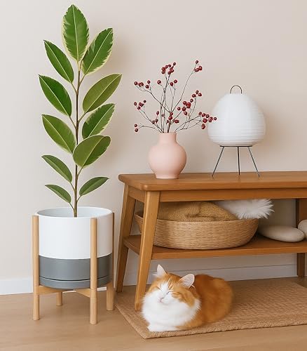 D'vine Dev Ceramic Pot with Natural Wood Stand, White/Grey, 12 in, 55-B-J-6 - Image 4