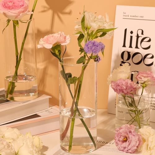 TBWIND 12pcs 8 Inch Clear Glass Cylinder Vases for Centerpieces - Image 4