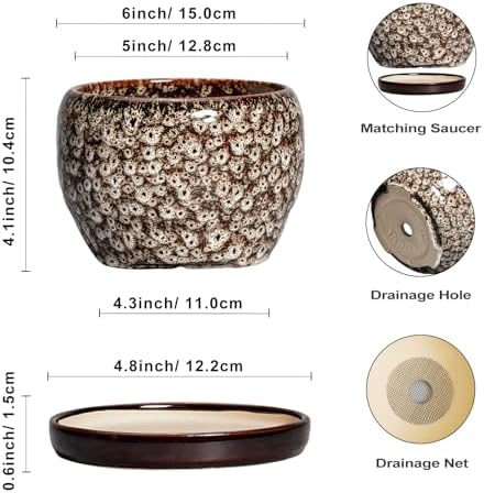 SQOWL Ceramic Plant Pots - 6 Inch Ceramic Planter for Indoor Outdoor, Small Flower Pots with Drainage Hole and Saucer, Decorative Round Planter, Home Office Decor, Plant Lover Gifts, White - Image 3