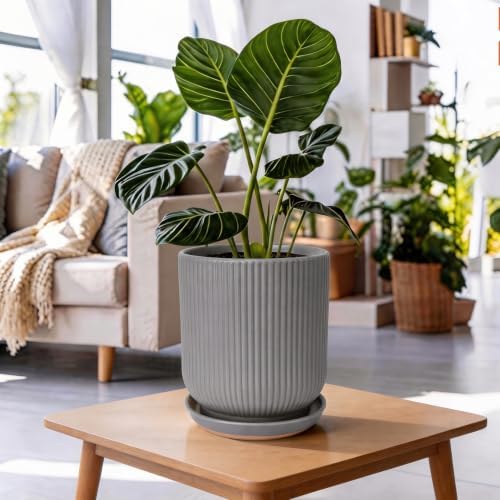Deep Dream 8 Inch Ceramic Pots for Plants, Heavy Plant Pot for Indoor Outdoor Plants, Large Plant Pot with Drainage Hole and Saucer, Modern Tall Flower Pot, Gifts for Plant Lovers, Grey - Image 5