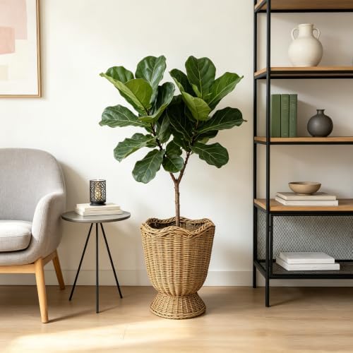Rattan Planter, Woven Planter Basket for Plants Indoor Outdoor, Rattan Flower Pot, Decorative Plant Holder Basket for Garden Patio Boho Home Decor (Orange&Scalloped-Small:11.81" H x 9.84" W) - Image 6