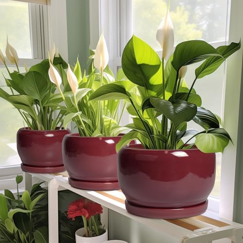 SQOWL Ceramic Pot for Plants - 10 Inch Indoor Planter with Drainage Hole and Saucer, Round Modern Planter Outdoor, Decorative Large Plant Pot for Flower, Living Room Decor, Garden Gifts, Red - Image 6