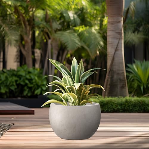 Kante Small Round Bowl Weathered Concrete Planter 11.8" Dia, Outdoor - Image 4