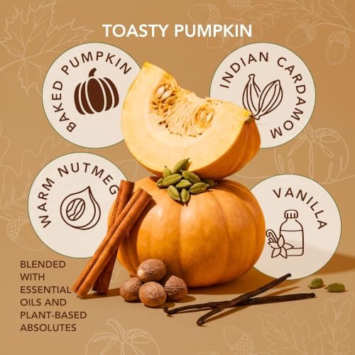 Toasty Pumpkin Brulee - Sweet Pumpkin & Vanilla with Earthy Nutmeg & Cardamom - Perfect Cozy for Fall - Pure Beeswax Candles - 90+ Hours Long Burning - Non-Toxic for Autumn Home Decor - 15 OZ - Image 4
