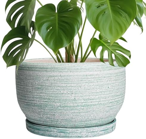 SQOWL Ceramic Pots for Plants - 10 Inch Ceramic Planter for Indoor Outdoor, Modern Round Flower Pot with Drainage Hole and Saucer, Large Planter, Home Office Decor, Gifts for Plant Lovers, Green by SQOWL