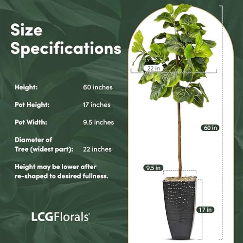 LCG Florals 5ft Artificial Fiddle Leaf Fig Tree - Real Wood Trunk, Preassembled, No Maintenance Indoor Faux Plant in Black Metal Pot - Living Room, Home & Office Decor - Image 2