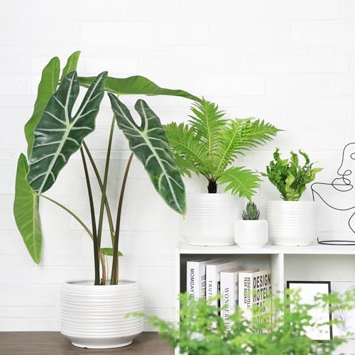 10 Inch Ceramic Plant Pot with Drainage – Large Flower Pot for Indoor Outdoor Plants, Modern Decorative Planter for Patio, Balcony, Garden, or Home Decor - Image 5