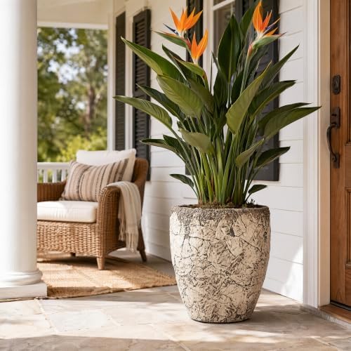 15" H x 11.6" Dia Fiberstone Planter Pot with Drainage Hole, Handcrafted Distressed Decorative Flower Pot for Indoor Outdoor Plants, Rustic Earthy Brown Boho Planter for Patio, Garden & Home - Image 5