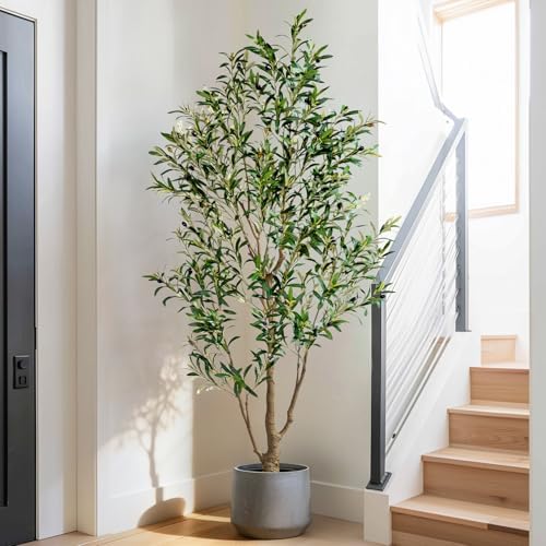6FT Artificial Olive Tree with Realistic Leaves & Natural Trunk, Faux Silk Olive Plant in White Planter, Tall Fake Tree for Modern Home Office Living Room Entryway Corner Decor, Maintenance Free - Image 3