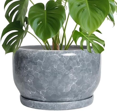 SQOWL Ceramic Pot for Plants - 10 Inch Plant Pot Indoor with Drainage Hole and Saucer, Round Ceramic Planter, Decorative Large Flower Pot Outdoor, Home Office Room Decor, Garden Gifts, Gray by SQOWL