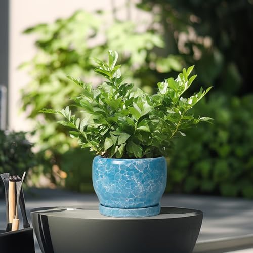SQOWL 6 Inch Plant Pot - Ceramic Indoor Planter with Drainage Hole and Saucer, Decorative Ceramic Flower Pot Outdoor, Round Succulent Planter, Home Office Room Decor, Gifts for Plant Lovers, Blue - Image 4