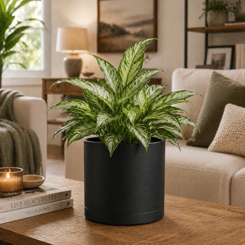 Giraffe Creation 14 Inch Cylinder Plant Pot, Modern Round Planter with Drainage Holes and Saucer, Durable Plastic Flower Pot for Indoor Outdoor Plants, Black - Image 5