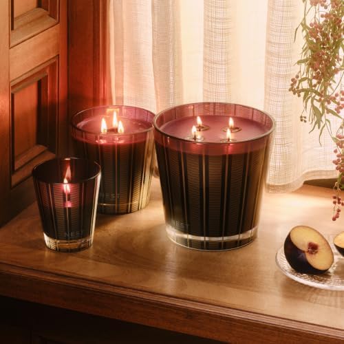 NEST New York Scented Classic Candle, Autumn Plum - 8.1 oz - Up to 60-Hour Burn Time - Reusable Glass Vessel - Image 2