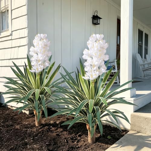 Artificial Agave Plant Fake Agave Planters for Indoor Outdoor Faux Agave Plants Real Touch Realistic Greenery for Home Living Room Office Garden Front Porch Patio (30inch 57Leaves-2 Pcs White) by Yarmare