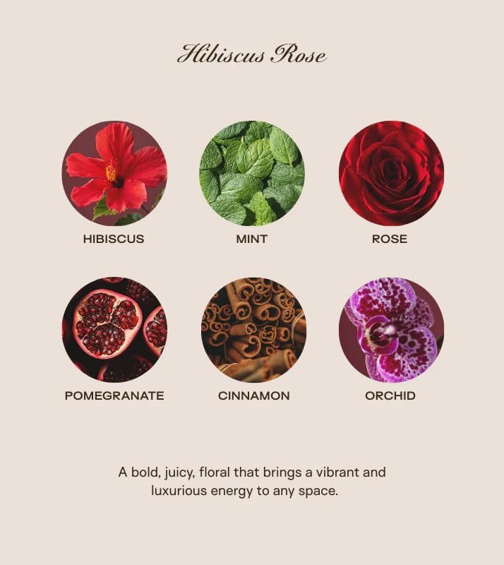 | Huge 10lb Luxury Candle, 150oz, 500 Hours | Hibiscus Rose | Rose, Hibiscus, Pomegranate | Natural Coconut-Soy Wax | by Big Ass Luxuries | As Seen On Shark Tank - Image 3