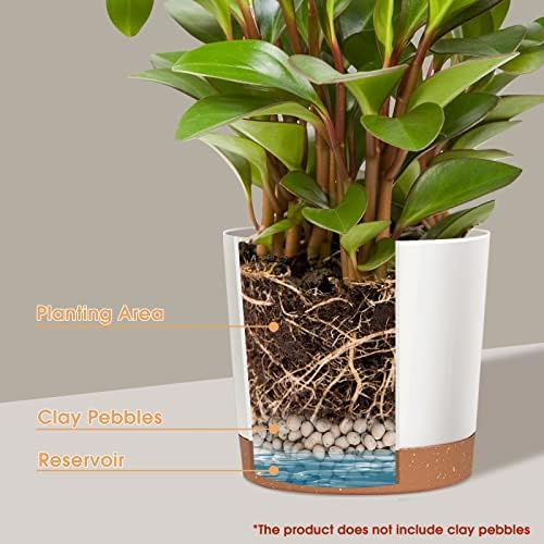 kubvici 2 Pack 8 Inch Planters for Indoor Plants, Plastic Flower Pots Plant Pots Indoor with Drainage Saucer for Outdoor Garden Home Plant, White 8” - Image 4