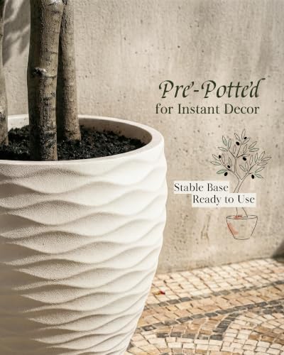 7ft Artificial Olive Tree Indoor Outdoor, Large Tall Faux Floor Plant Decor - Image 4
