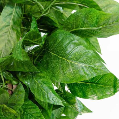 Blaine - Fake Mango Tree 6 FT Lifelike Faux Plant for Living Room Decor - Image 7