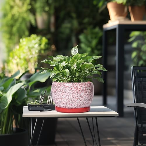 SQOWL Ceramic Pots for Plants - 8 inch Indoor Planter with Drainage Hole and Tray, Ceramic Flower Pot Outdoor, Round Decorative Planter, Bedroom Decor, Gifts for Plant Lovers, Red and White - Image 5