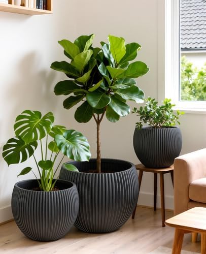 homenote 14.5/12/9.7 Inch Large Plastic Flower Pots with Drainage (3 Pcs) - Image 4