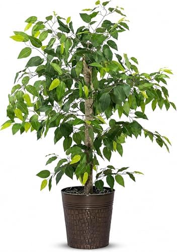 Artificial Tree 4ft Artificial Ficus Tree in Copper Metal Pot by LCG Florals – Faux Indoor Plant with Real Wood Trunk, Fully Assembled for Living Room, Office & Entryway Décor by LCGFlorals