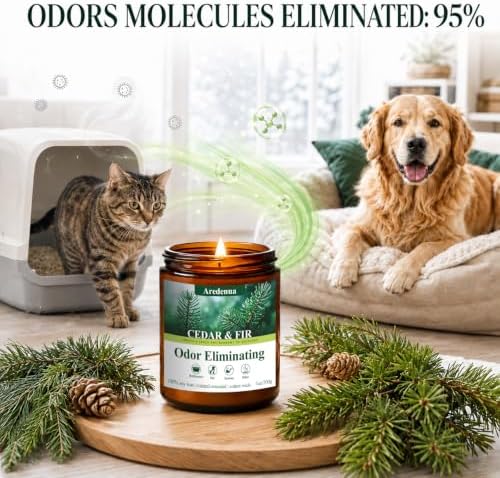 Cedar & Fir Odor Eliminating Candles | Eliminates 95% of Pet, Smoke, Food, and Other Smells – 7 oz Soy Candle for Home Scented - Balsam Cedar Scented Candles for Forest Fresh & Winter Holiday Gifts - Image 3