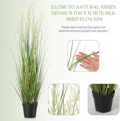 Jexine 6 Pcs 4 ft Tall Artificial Grass Plant Potted Artificial Greenery Floor Plants Faux Pampas Grass Tall in Pot for Housewarming Gift House Garden Bathroom Lobby Outdoor Decoration - Image 3