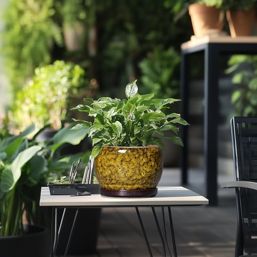 SQOWL Ceramic Flower Pots - 8 inch Ceramic Planter for Indoor Plants, Decorative Plant Pots with Drainage Hole and Saucer, Round Planter Outdoor, Porch Backyard Decor, Housewarming Gifts, Yellow - Image 5