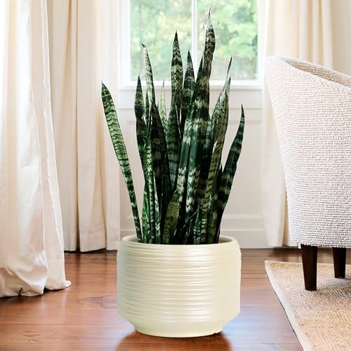 10 Inch Ceramic Plant Pot with Drainage – Large Flower Pot for Indoor Outdoor Plants, Modern Decorative Planter for Patio, Balcony, Garden, or Home Decor - Image 7
