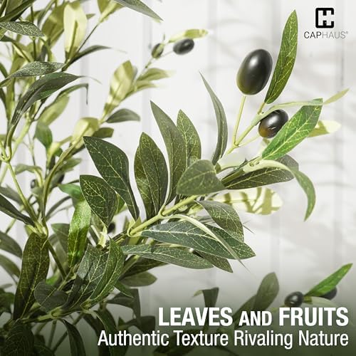 CAPHAUS 5 Feet, 60 Inch, Artificial Olive Tree, Faux Plant in Pot, Faux Olive Branch and Fruit, Fake Potted Topiary Tree with Dried Moss for Indoor Home Office Modern Housewarming Decoration Gift - Image 4
