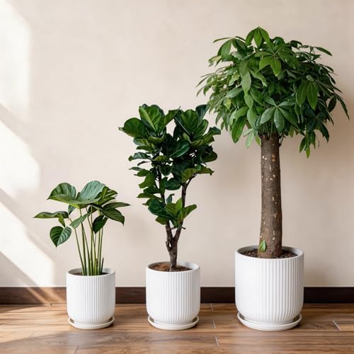 Deep Dream 10 Inch Ceramic Pots for Plants, Heavy Plant Pot for Indoor Outdoor Plants, Large Plant Pot with Drainage Hole and Saucer, Modern Tall Flower Pot, Gifts for Plant Lovers, White - Image 6