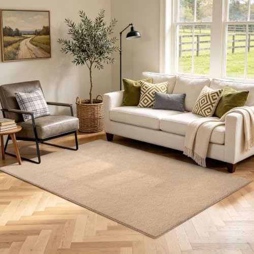 3x5 Beige Solid Area Rug Washable Non-Slip Soft Thin for Bedroom Kitchen by Unknown