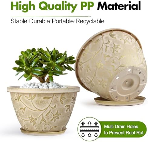 Nooulap 4 Pack 10 Inch Plant Pot with Drainage & Saucer - Image 3