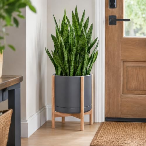 D'vine Dev Ceramic Pot with Natural Wood Stand, Grey, 14 in, 55-B-R-3 - Image 6