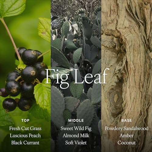 Antica Farmacista Reed Diffuser, Fig Leaf, 16.9 fl oz - Image 4